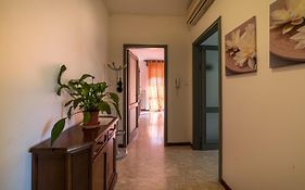 Very Nice Apartment Padova Centre
